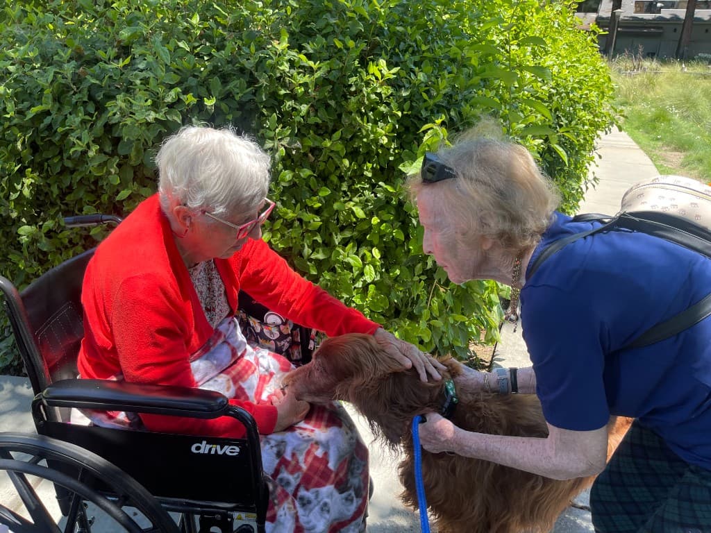 Older adult reading while companion support is nearby